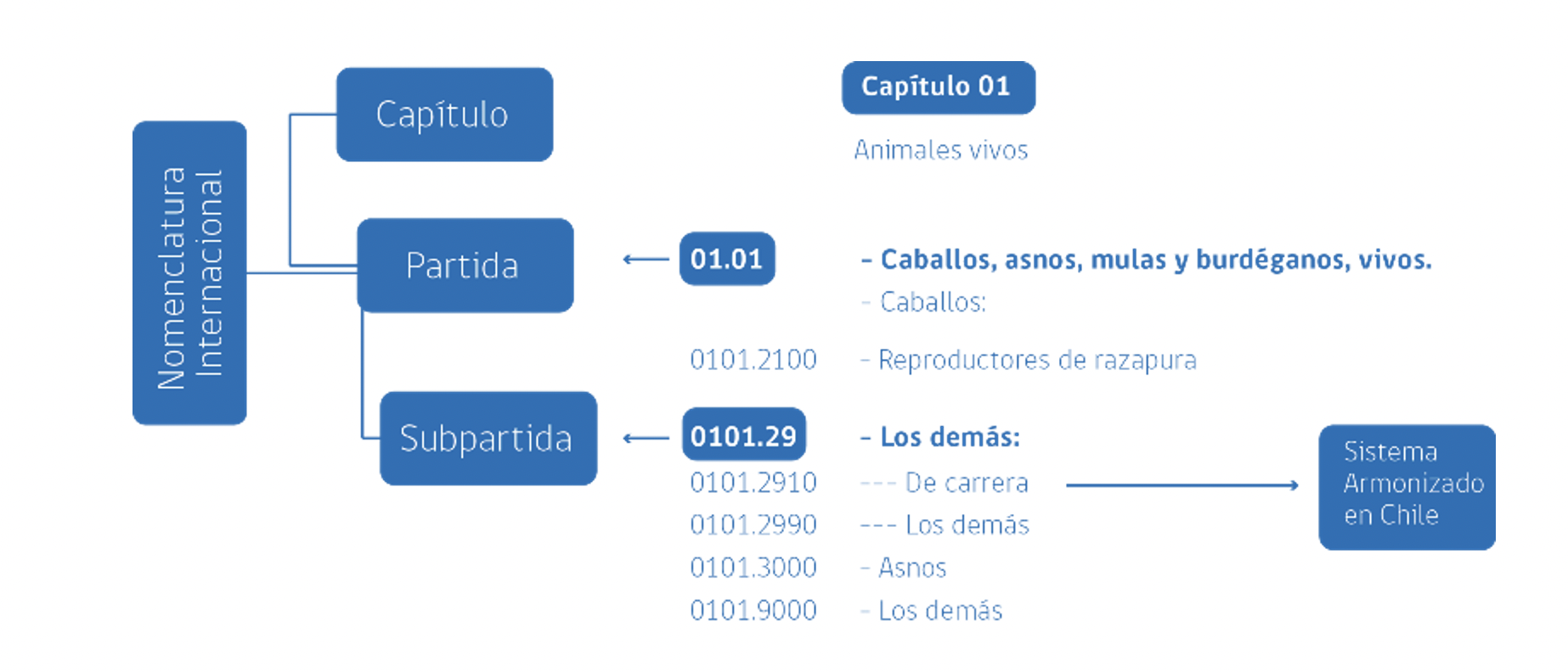 Certificacion_Origen.png